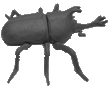 b0080033_23283156.gif