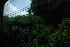 e0016135_0181659.jpg