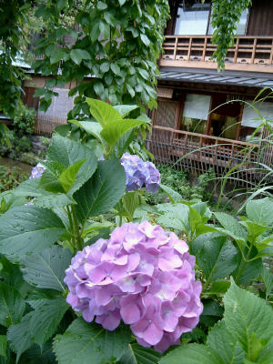 c0069036_20514614.jpg