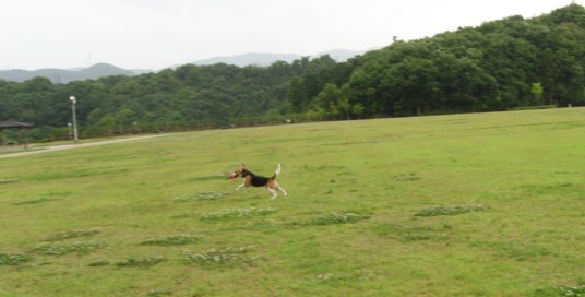 c0119142_032818.jpg