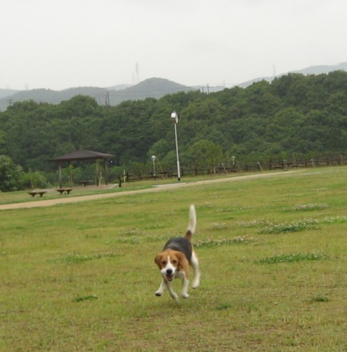 c0119142_0331042.jpg