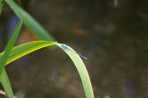 f0094045_20422812.jpg