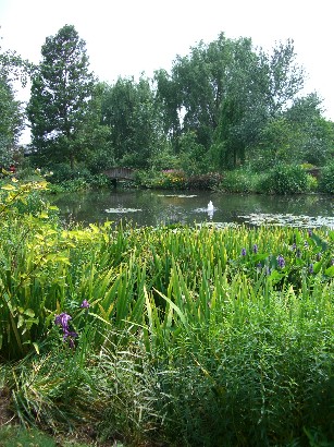 f0072846_2121168.jpg