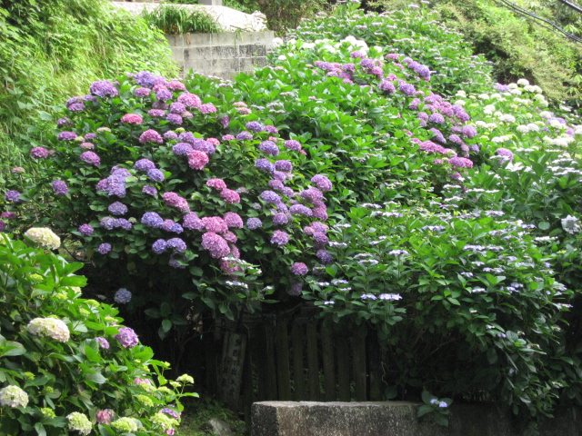 b0097747_1283515.jpg