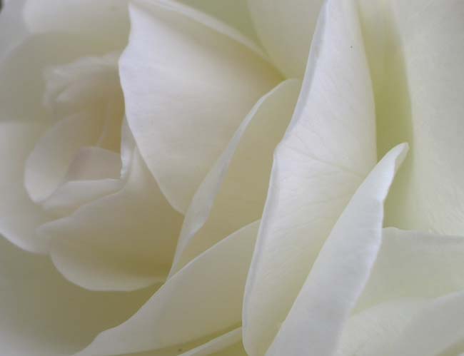e0002850_23593192.jpg