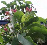 e0004756_20312590.jpg