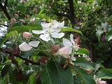 e0004756_20315212.jpg