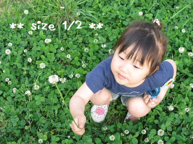 f0139758_12125857.jpg