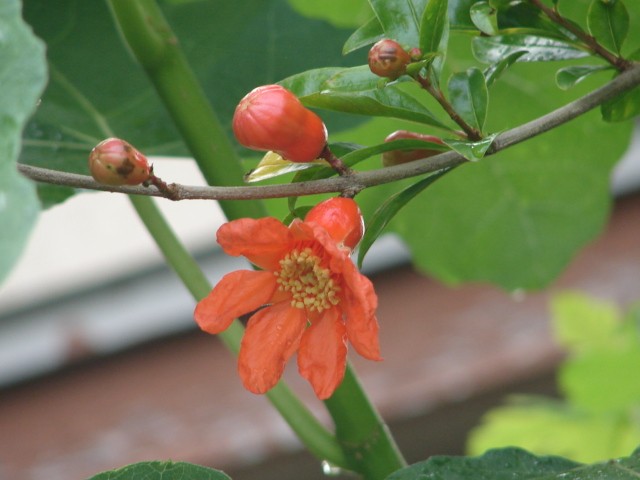 b0061261_22263510.jpg