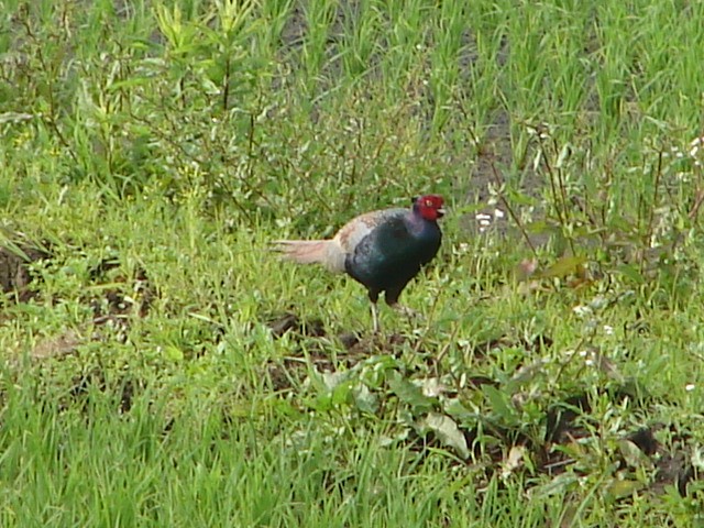 b0061261_224538100.jpg