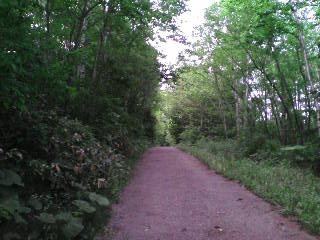 e0120466_2154668.jpg