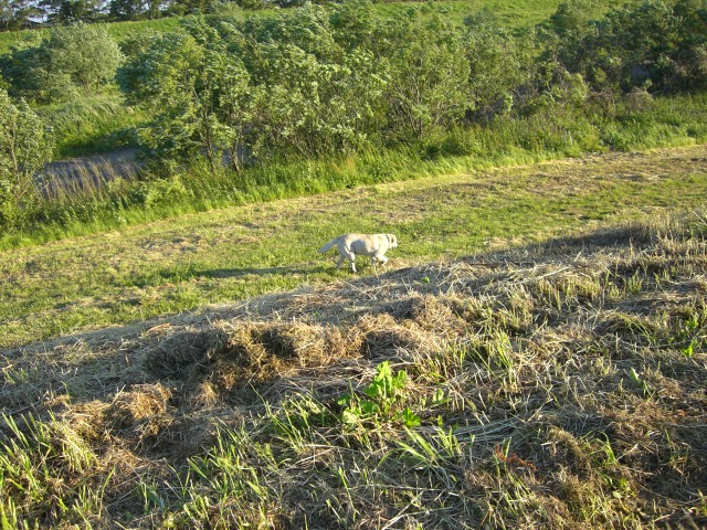 b0044073_23124667.jpg