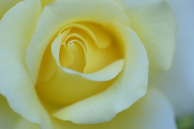 d0079278_22515464.jpg