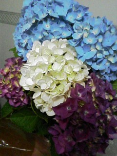 c0111981_005545.jpg
