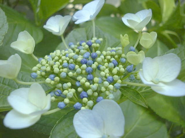 f0039281_22362391.jpg