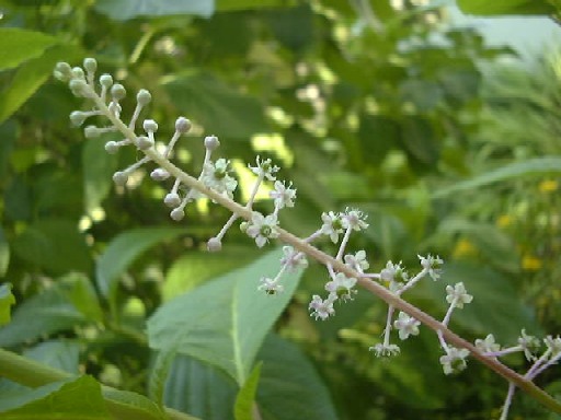 f0039281_2237941.jpg