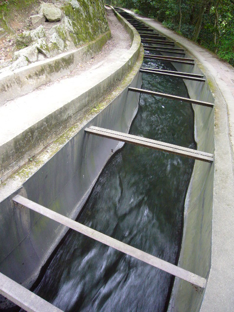 d0075582_11284379.jpg