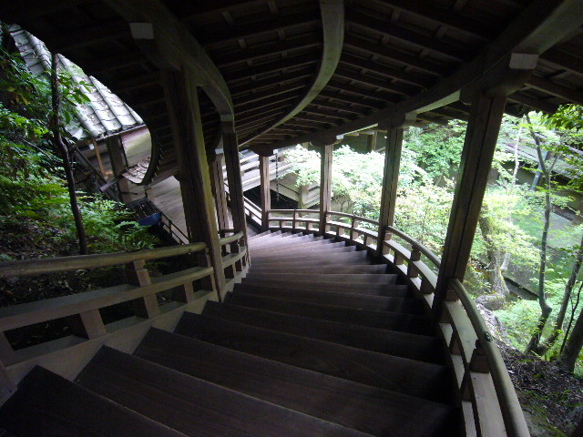 d0075582_11492340.jpg