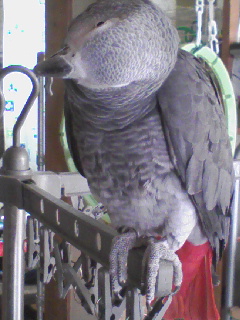 c0076490_17541745.jpg
