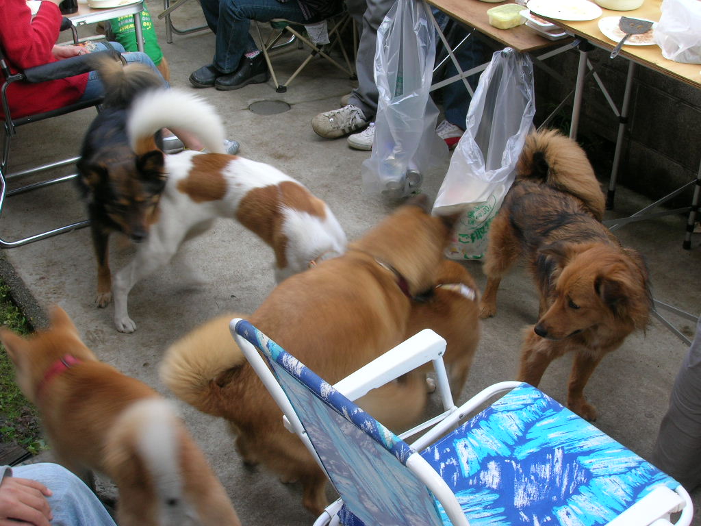 c0123890_2216535.jpg