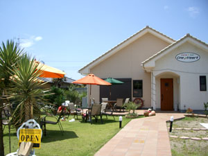 d0003996_1555165.jpg