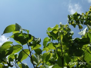 f0062803_10505297.jpg