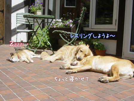 f0064906_18115477.jpg