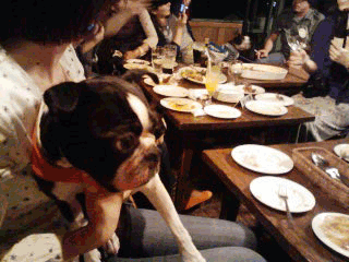e0080117_0133776.gif