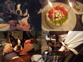 e0080117_015749.gif