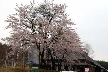 b0075318_15551987.jpg