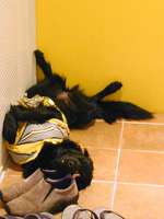 c0012120_2421960.jpg