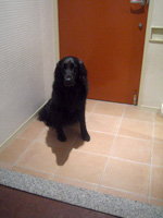 c0012120_2465793.jpg