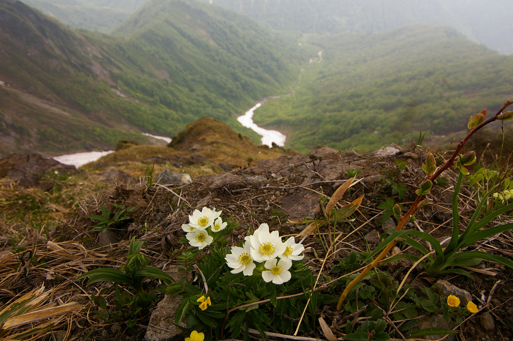 b0062024_20124730.jpg