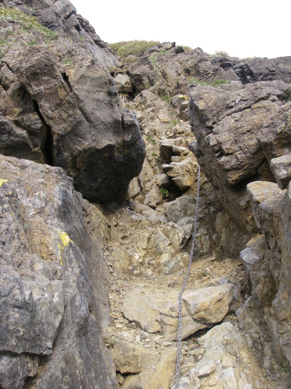 b0062024_20205350.jpg