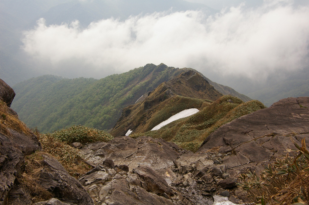 b0062024_20271496.jpg