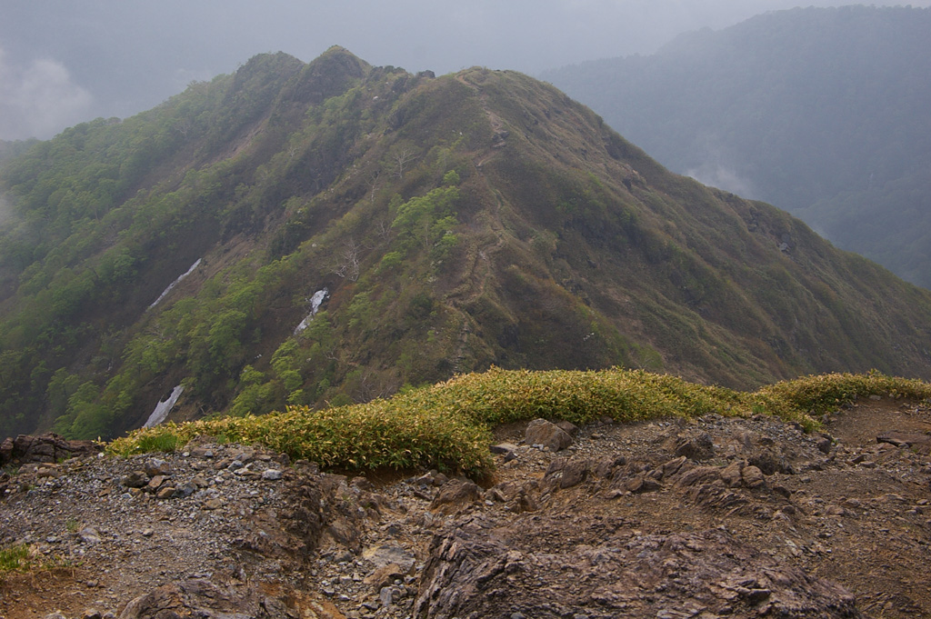 b0062024_2055243.jpg
