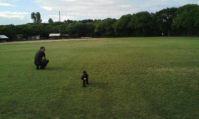 f0076529_1112278.jpg
