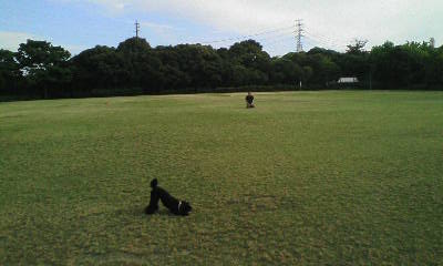 f0076529_1143226.jpg