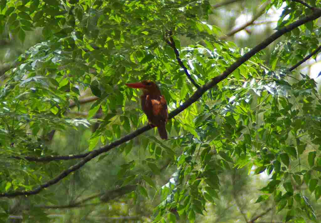 d0053930_652912.jpg