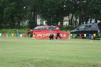 b0085331_727739.jpg