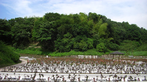 e0044635_204945.jpg