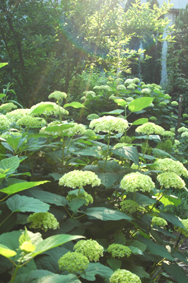 f0029536_17303631.jpg