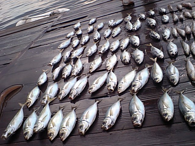 f0009238_2052871.jpg