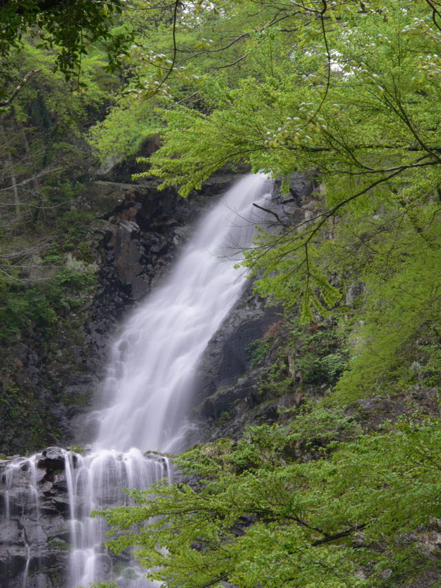 e0055642_23354688.jpg