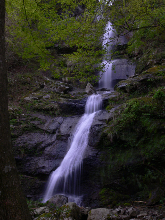 e0055642_23411284.jpg