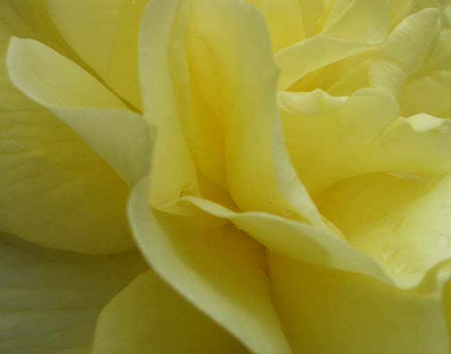 e0002850_021664.jpg