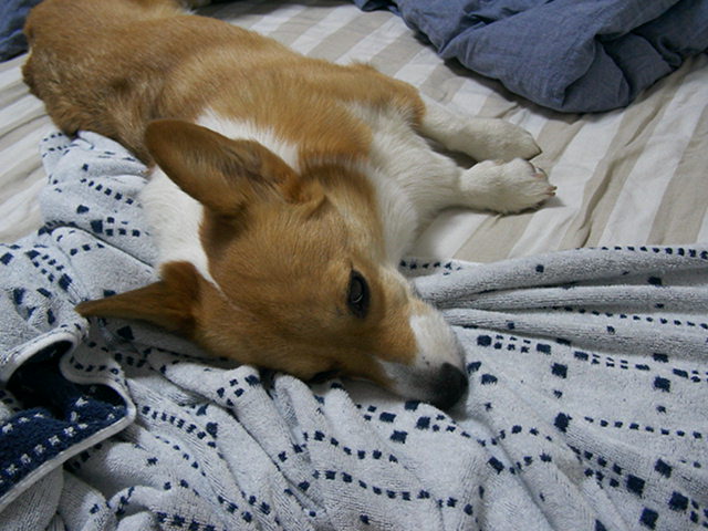 f0140454_21424073.jpg