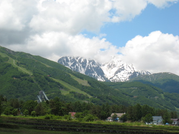 d0102655_2392547.jpg