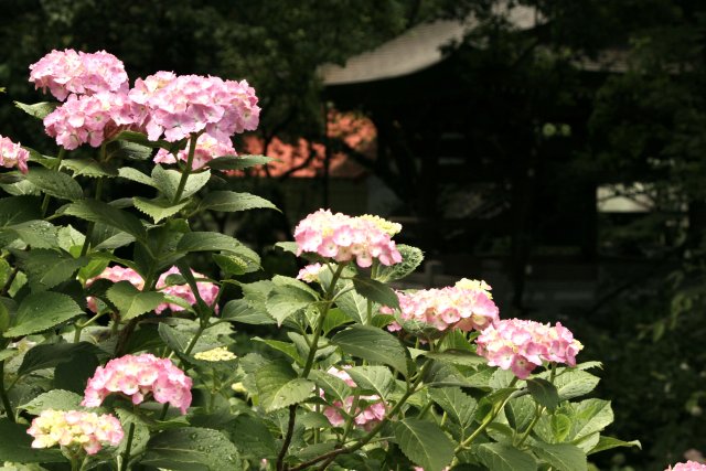f0044056_16431877.jpg