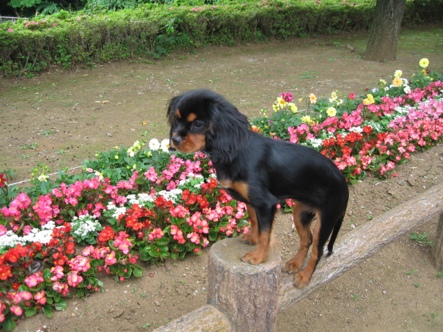 a0101958_20513627.jpg